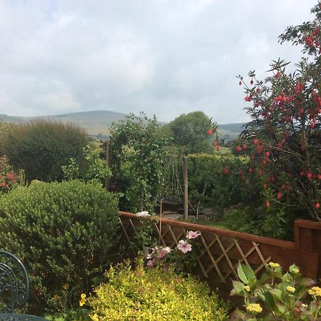 Brynhaul Bed And Breakfast Maenclochog Zewnętrze zdjęcie
