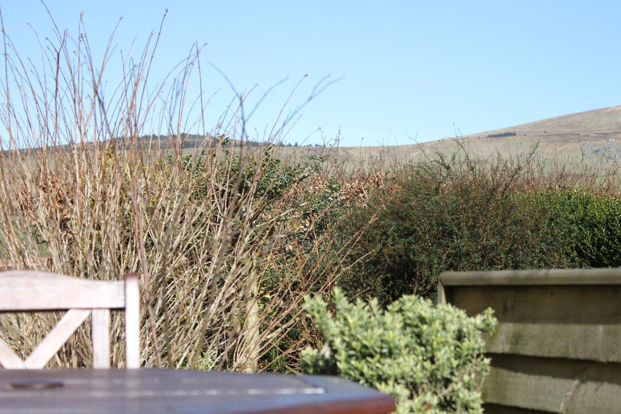 Brynhaul Bed And Breakfast Maenclochog Zewnętrze zdjęcie